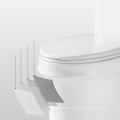 Comfort Height Dual Flush Elongated One-piece Toilet ONE Piece Ceramic Flush Pipe Component Floor Mounted Modern Round S-trap